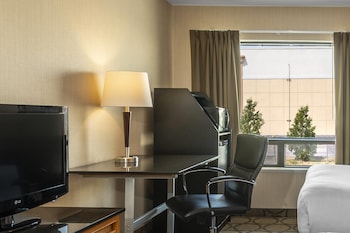 Room, 1 King Bed