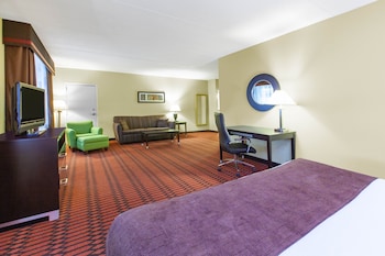 Room, 1 King Bed, Non Smoking