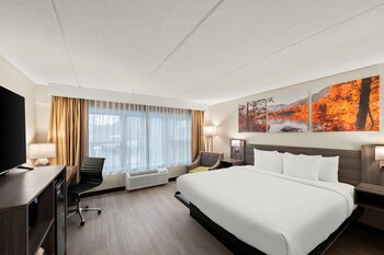Standard Room, 1 King Bed, Non Smoking (Pet-Friendly)
