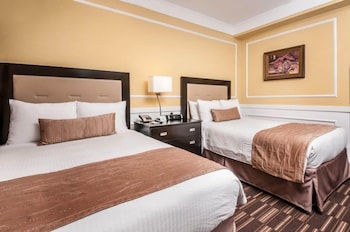 Executive Room, 2 Double Beds