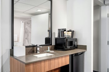 Suite, 1 Bedroom, Mobility Accessible, Bathtub