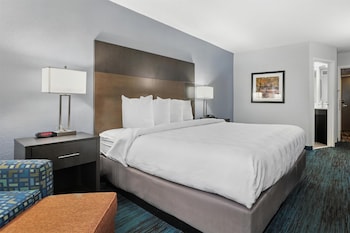 Standard Room, 1 King Bed, Accessible, Refrigerator & Microwave