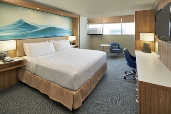 Standard Room, 1 Queen Bed, Mobility Accessible (Roll-In Shower)