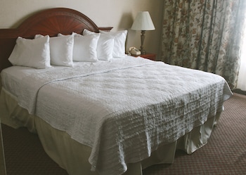 Standard Double Room, 2 Double Beds