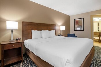 Standard Room, 1 King Bed, Non Smoking