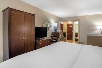 Room, 1 King Bed with Sofa bed, Non Smoking