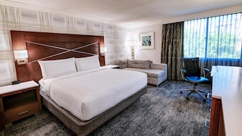 Room, 1 King Bed, Microwave