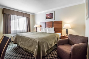 Room, 1 King Bed, Non Smoking