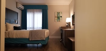 Standard Room, 1 Queen Bed, Non Smoking, Refrigerator (Shower only)
