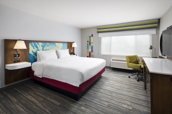 Room, 1 King Bed, Refrigerator & Microwave