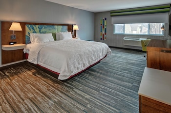 Room, 1 King Bed, Microwave