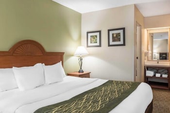 Room, 1 King Bed, Non Smoking