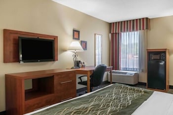 Room, 1 King Bed, Non Smoking