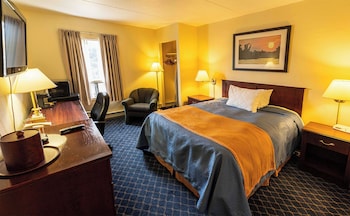 Standard Room, 1 Queen Bed, Non Smoking