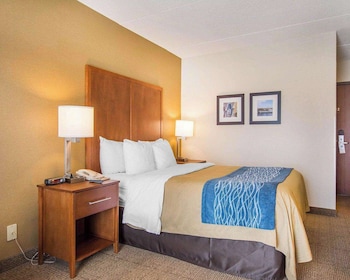 Standard Room, 1 Queen Bed with Sofa bed, Non Smoking, Ground Floor