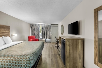 Room, 1 King Bed, Smoking