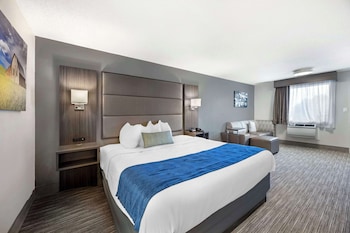 Standard Room, 1 King Bed, Non Smoking, Refrigerator & Microwave