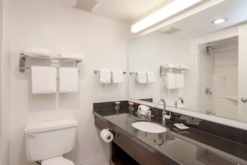 Studio, 2 Queen Beds, Kitchen (Monashee Building)