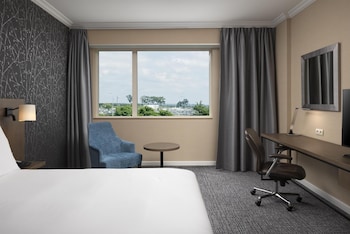 Deluxe Room, 1 King Bed (Newly Renovated)