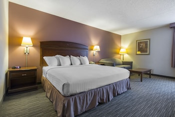 Standard Room, 1 King Bed, Non Smoking