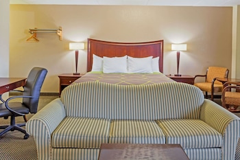 Studio Suite, 1 King Bed, Non Smoking