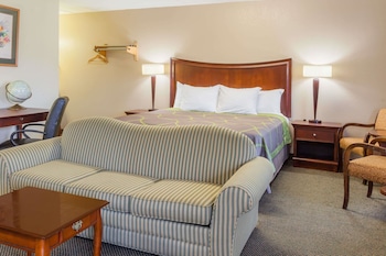 Studio Suite, 1 King Bed, Non Smoking