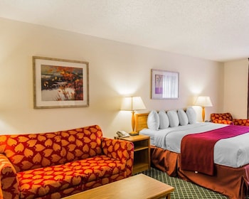 Standard Room, 1 King Bed with Sofa bed, Non Smoking, Refrigerator & Microwave