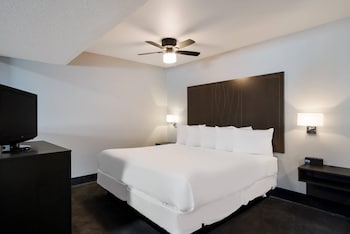 Suite, 1 King Bed, Non Smoking (Efficiency)