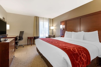 Standard Room, 1 King Bed, Non Smoking