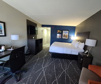 Standard Room, 1 King Bed, Non Smoking