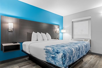 Room, 1 King Bed, Non Smoking