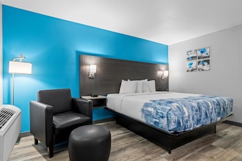 Deluxe Room, 1 King Bed, Non Smoking
