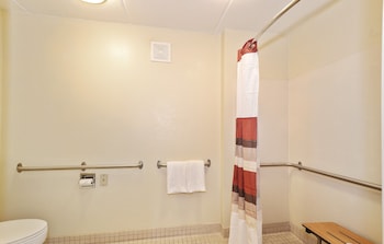 Superior Room, 1 King Bed, Accessible (Roll-In Shower, Smoke Free)
