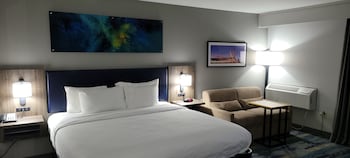 Suite, 1 King Bed with Sofa bed, Non Smoking