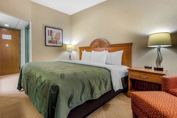 Standard Room, 1 King Bed, Non Smoking