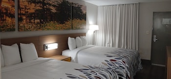 Deluxe Room, 2 Queen Beds, Smoking