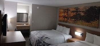 Deluxe Room, 2 Queen Beds, Smoking