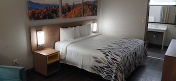 Deluxe Room, 1 King Bed, Accessible, Non Smoking (Roll-in Shower)