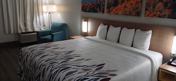 Deluxe Room, 1 King Bed, Accessible, Non Smoking (Roll-in Shower)