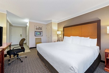 Deluxe Room, 1 King Bed