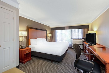 Room, 1 King Bed, Accessible