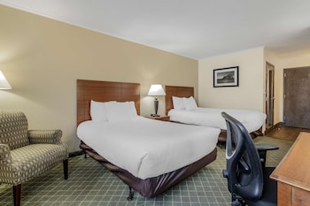 Standard Room, 2 Double Beds, Non Smoking, Refrigerator & Microwave