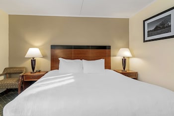 Standard Room, 1 King Bed, Non Smoking, Refrigerator & Microwave