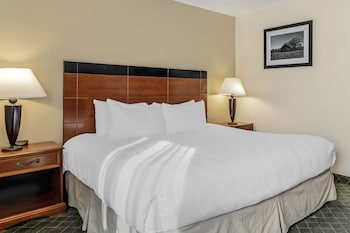 Standard Room, 1 King Bed, Non Smoking, Refrigerator & Microwave