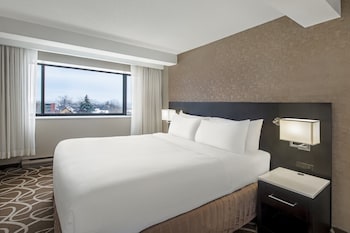 Premium Room, 1 King Bed, Accessible (Communication, Accessible Tub)