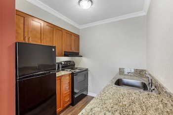 Suite, 1 King Bed, Non Smoking, Kitchenette (with Sofabed)