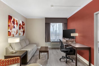 Suite, 1 King Bed, Accessible, Kitchenette (with Sofabed)