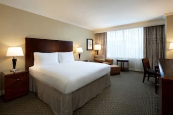 Basic Room, 1 King Bed