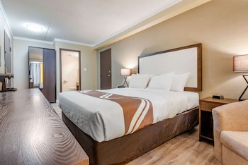 Room, 1 Queen Bed, Non Smoking