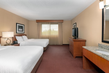 Suite, Multiple Beds, Mobility Accessible, Microwave (Roll-In Shower)